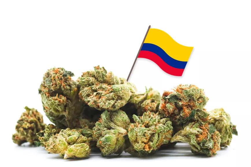 El Congreso de Colombia pone rumbo a la despenalización del cannabis 