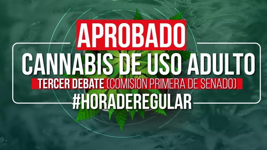 La legalización del cannabis en Colombia supera el tercer debate 