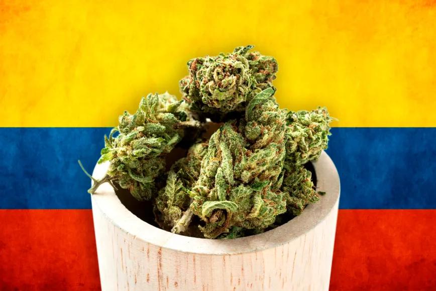 Legalización de la marihuana, próxima estación: Colombia 