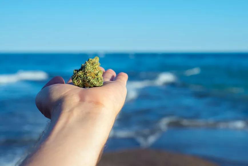 Uruguay avanza en el proyecto de venta de cannabis a turistas