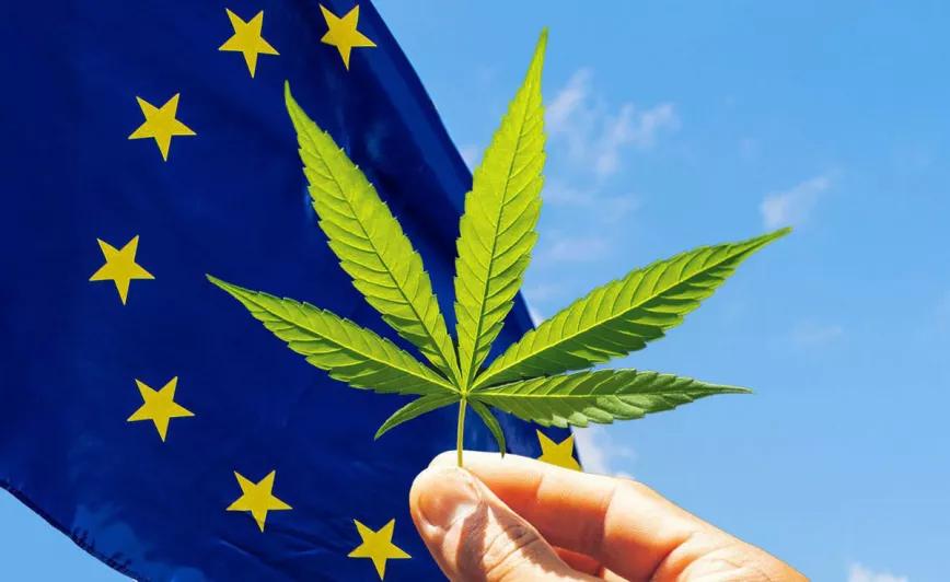 Empresarios del cannabis europeos piden a la Comisión Europea que permita la legalización