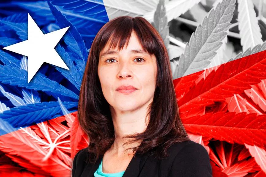 Chile estudiará la legalización de la marihuana a partir de enero
