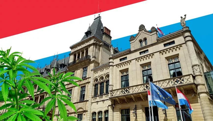 Luxemburgo prepara la legalización del cannabis a contratiempo por las elecciones 