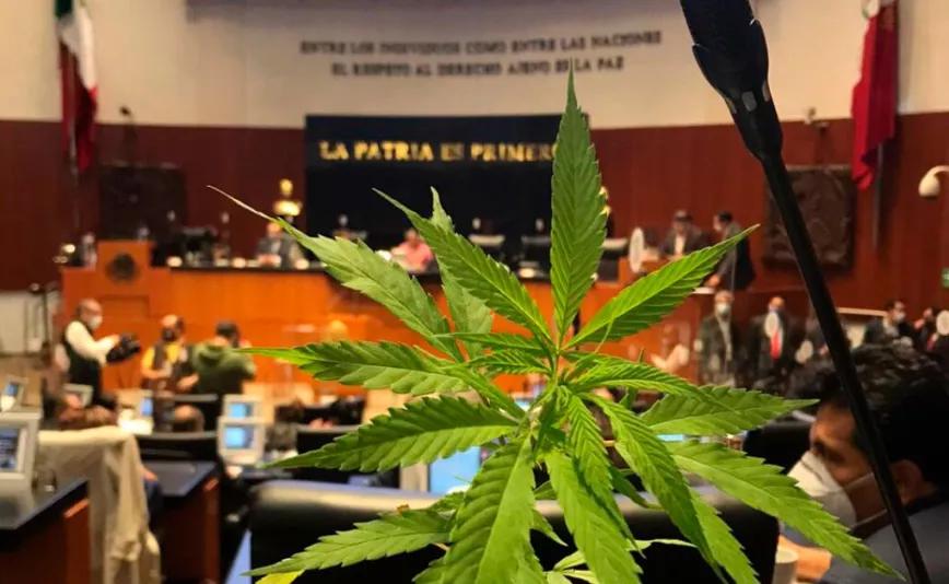 Senadores mexicanos dicen que retomarán la regulación del cannabis el mes que viene 