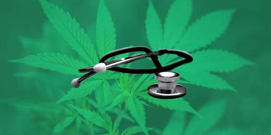 El cannabis no daña la salud pública según los resultados de un estudio