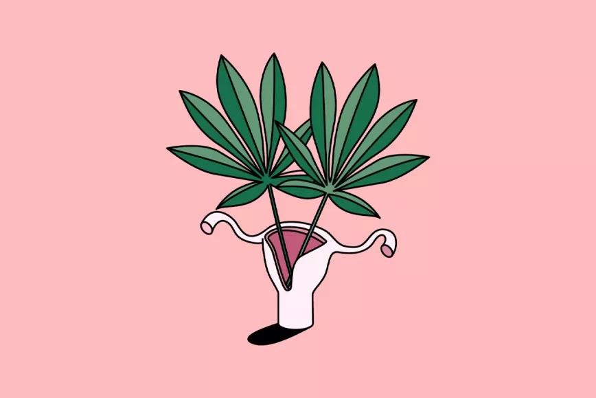 Cannabis y menstruación, lanzan una encuesta para conocer más sobre esta desconocida relación