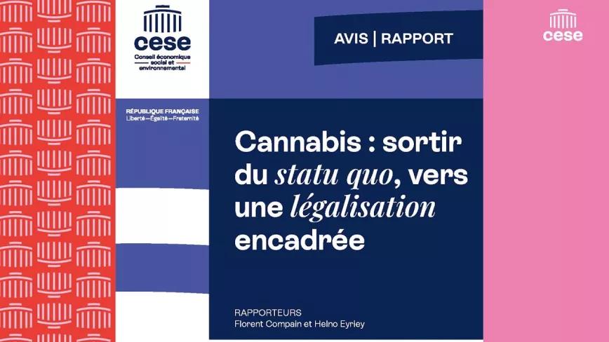El Consejo Económico y Social de Francia propone legalizar el cannabis 
