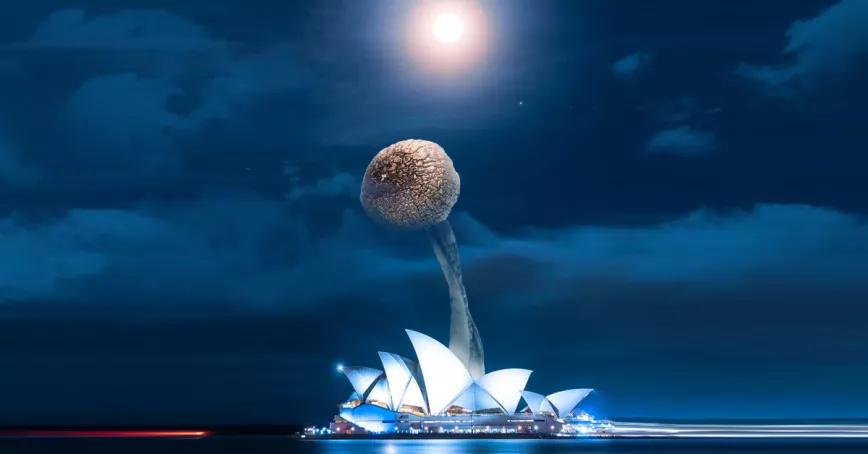 Australia aprueba el uso médico de MDMA y psilocibina