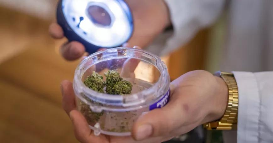 Suiza empieza a vender cannabis recreativo para adultos 
