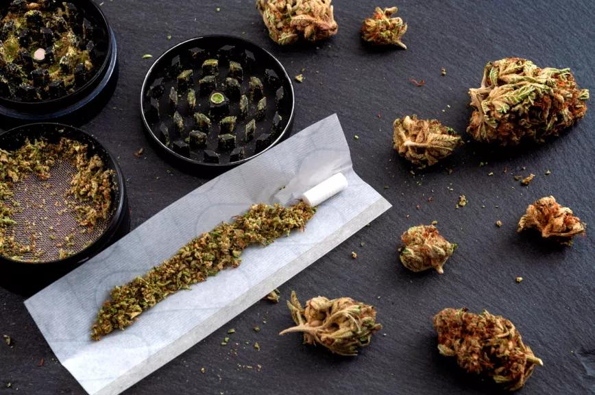 Cambrils retoma la regulación de los clubs de cannabis 