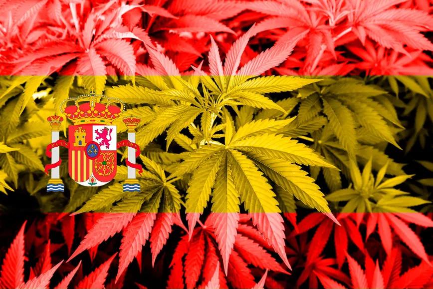 La esperada regulación del cannabis medicinal en España ya lleva dos meses de retraso