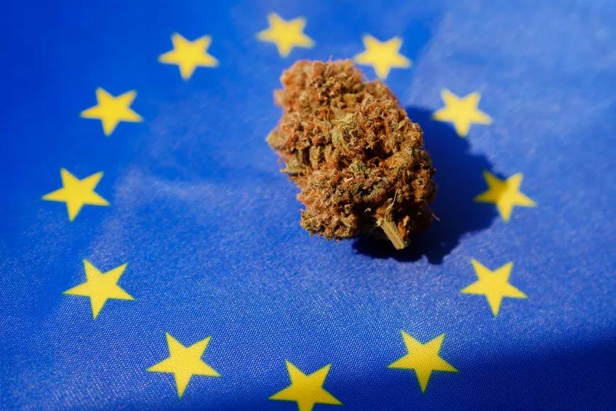 La Agencia del Medicamento Europea creará una guía del cannabis medicinal, incluyendo los cogollos 