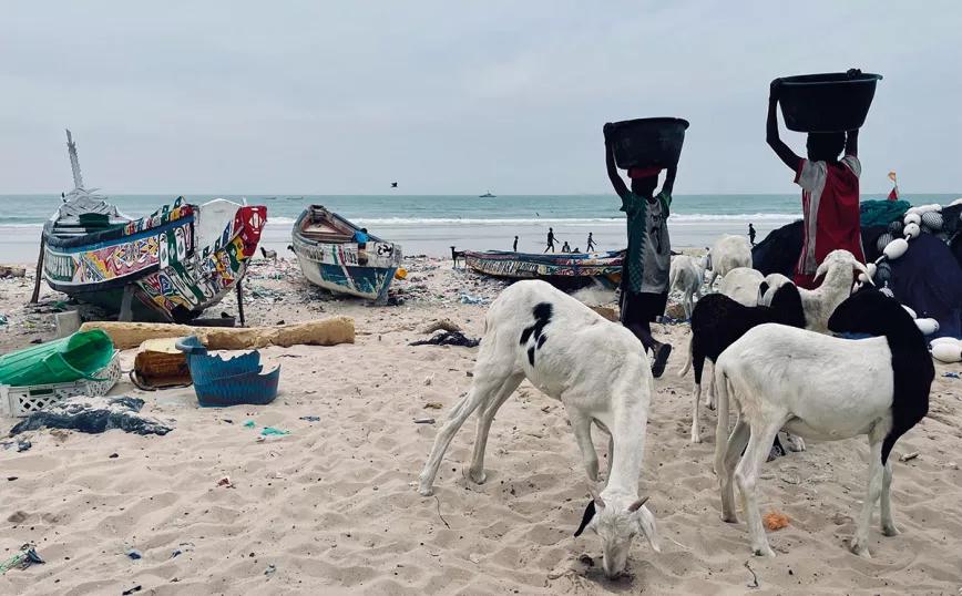 El barrio de los pescadores de Saint Louis puede parecer miserable, pero también muestra el extraordinario dinamismo del día a día en Senegal. 