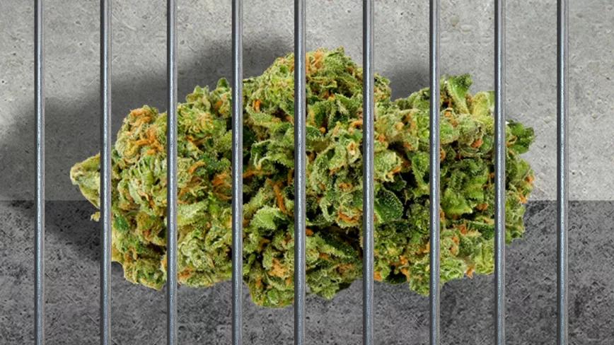 Condenados a 9 meses de cárcel y 9000 € de multa por un club de cannabis 