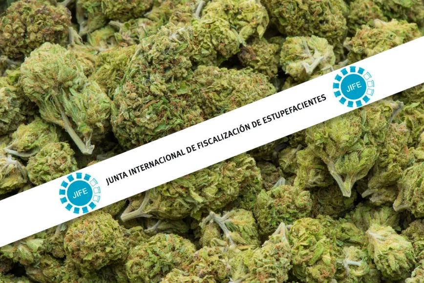 La JIFE critica las legalizaciones del cannabis en todo el mundo