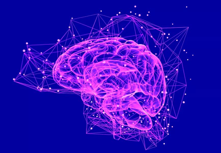 Un estudio descubre que la DMT provoca mayor conectividad en el cerebro
