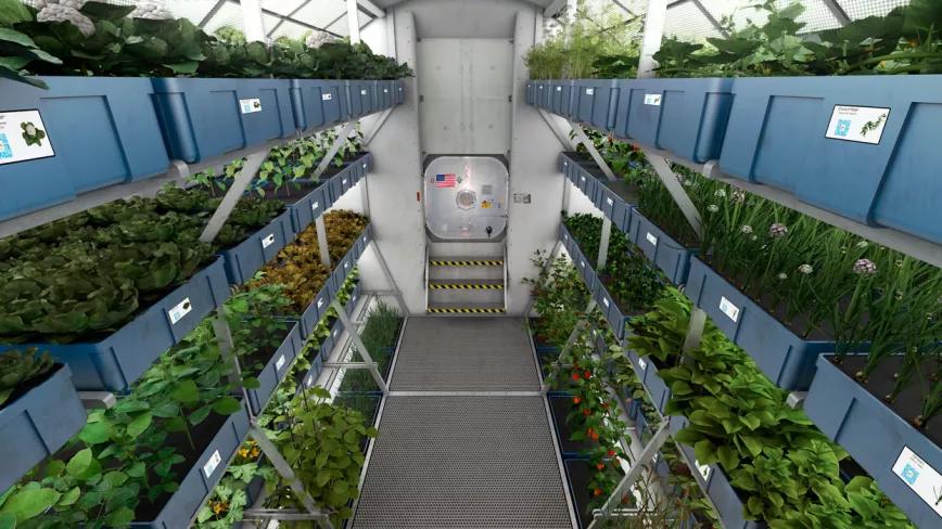 Van a cultivar cáñamo en la Estación Espacial Internacional 