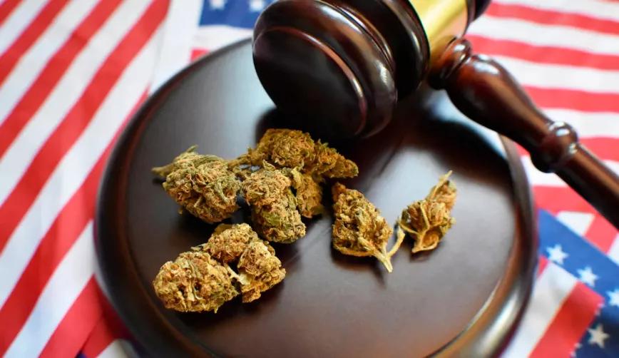 Delaware aprueba dos proyectos para legalizar el cannabis de uso adulto