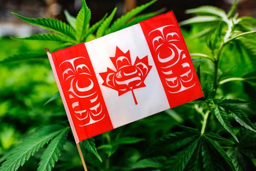 Líderes indígenas de Canadá piden mayor acceso a la industria del cannabis