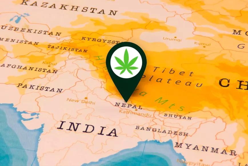 El Gobierno de Nepal estudiará la regulación del cannabis medicinal