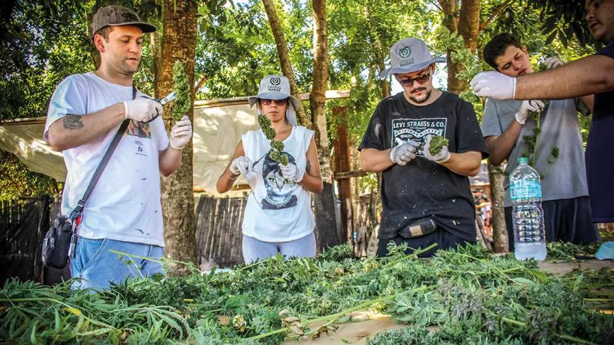 Paraguay reivindica el cannabis legal en la feria de Asunción