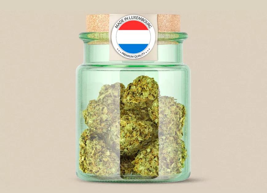 Luxemburgo legaliza el uso y el cultivo de cannabis para adultos