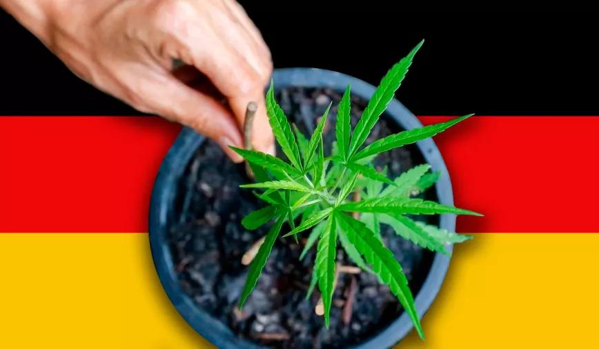 Alemania publica oficialmente el borrador de la ley del cannabis con todos los detalles