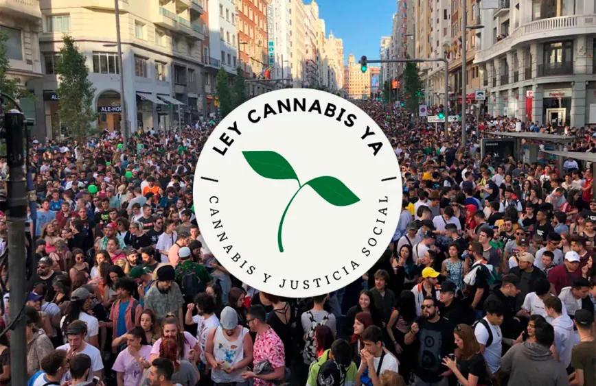 Lanzan la campaña #LeyCannabisYa para pedir la regulación del cannabis en España