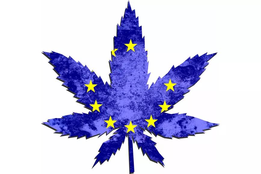 Europarlamentarios piden a la Comisión Europea que deje vía libre para legalizar el cannabis