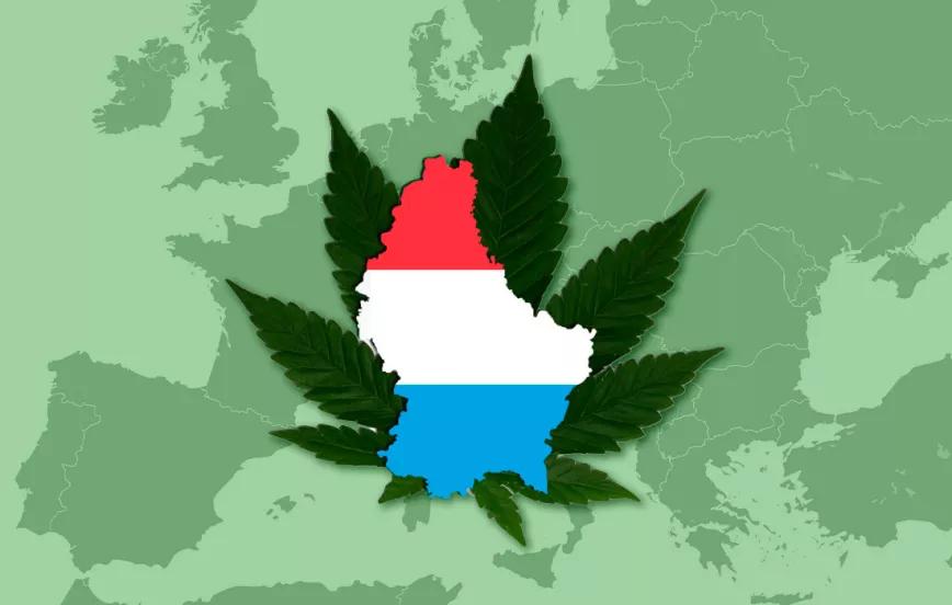 Luxemburgo estrena hoy su legalización del cannabis: ya pueden cultivar marihuana en casa