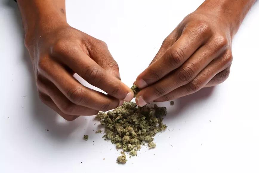 El parlamento de Ghana legaliza el cultivo de cannabis para fines medicinales e industriales