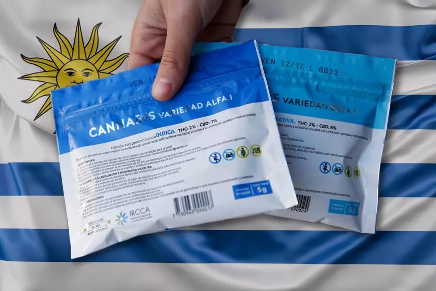 Uruguay cumple seis años vendiendo cannabis con 60.000 consumidores registrados