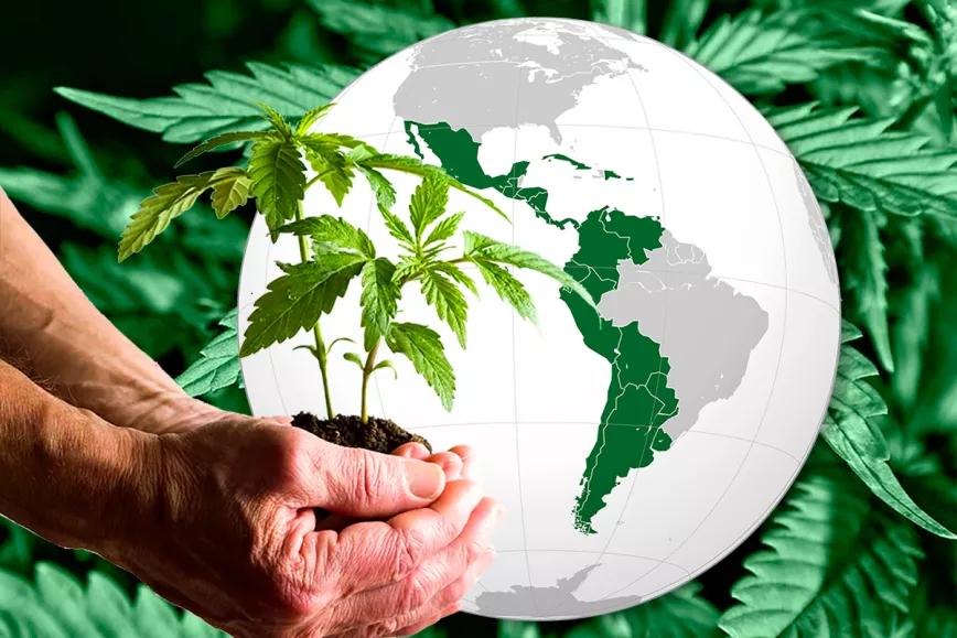 Esto es lo que ha pasado en Hispanoamérica con el cannabis en el último año 