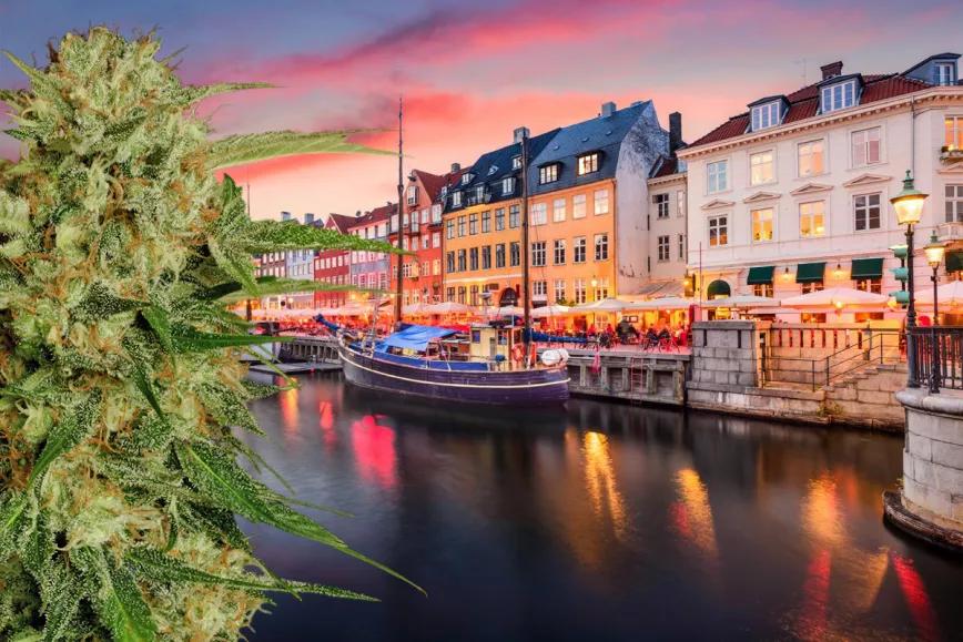 El Ayuntamiento de Copenhague quiere permitir la venta de cannabis de forma experimental