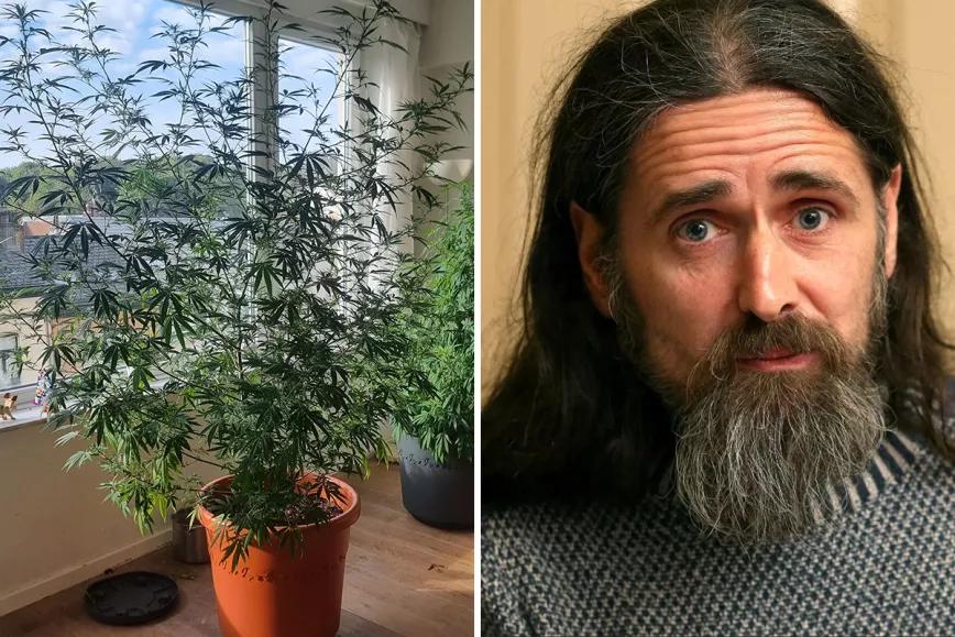Un eurodiputado publica las fotos de su cultivo de cannabis 