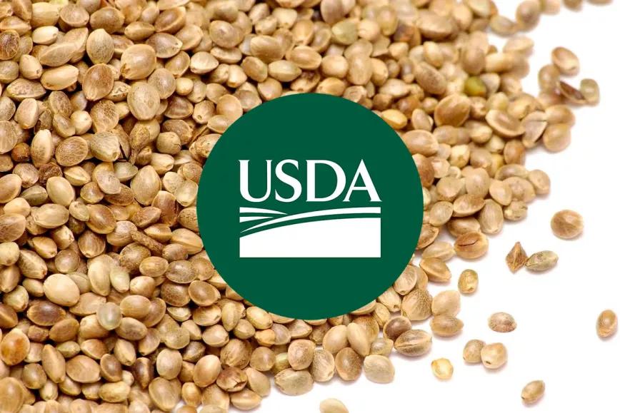 El Departamento de Agricultura de EE UU está creando un banco de semillas de cáñamo