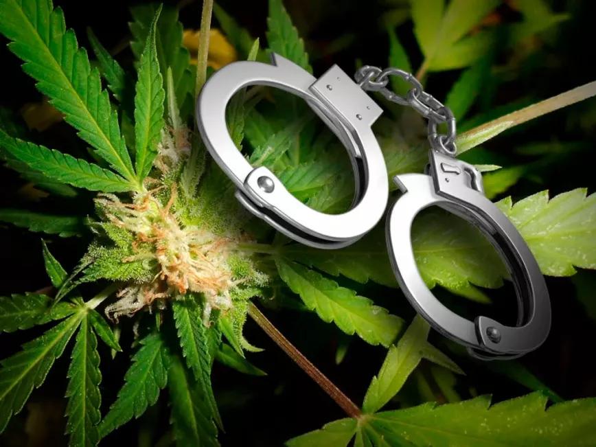 La policía británica arresta a usuarios de cannabis medicinal legal pese a tener receta