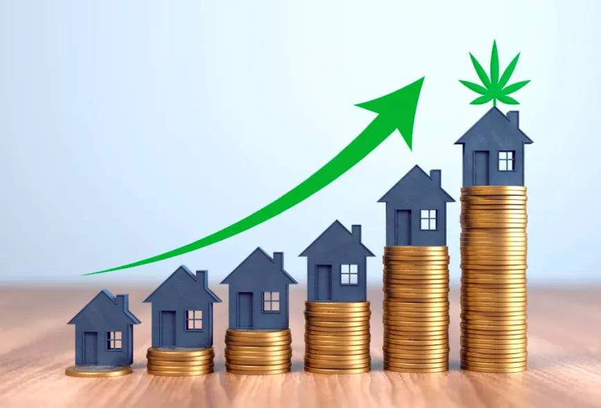 La legalización de la marihuana y el aumento de precios de la vivienda van de la mano en EE UU