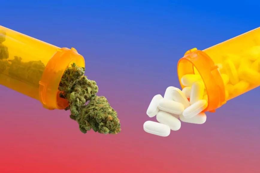 Los estados de EE UU con acceso regulado al CBD recetan menos opioides