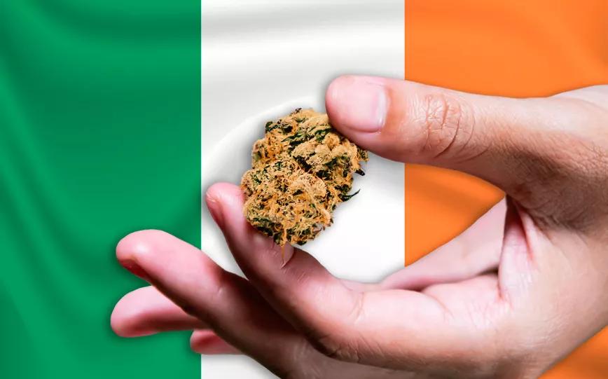 La legalización del cannabis volverá al parlamento irlandés en enero 