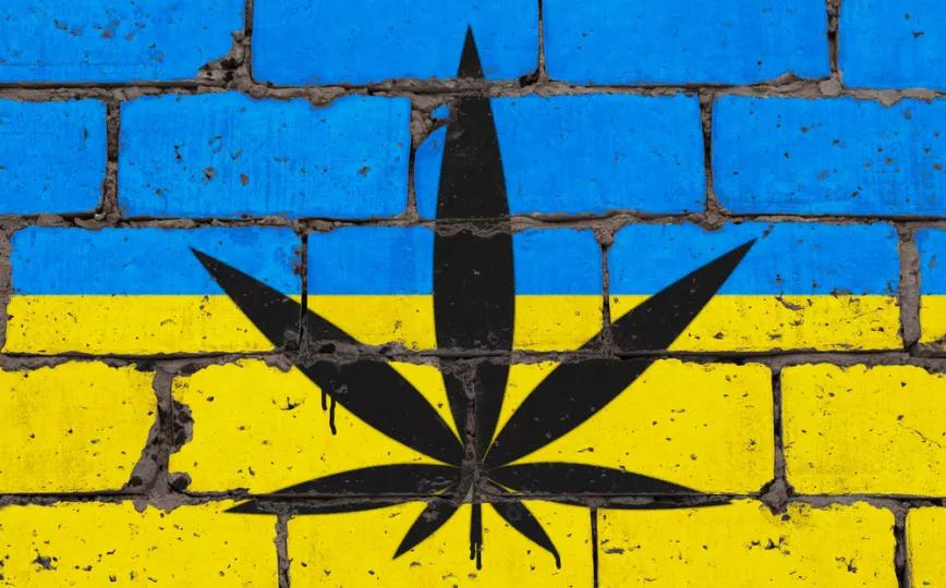 La legalización del cannabis medicinal en Ucrania se atasca por 200 enmiendas