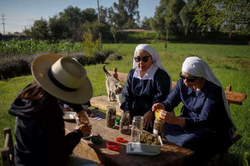 México: un grupo de monjas quiere disputarle el negocio del cannabis a los cárteles