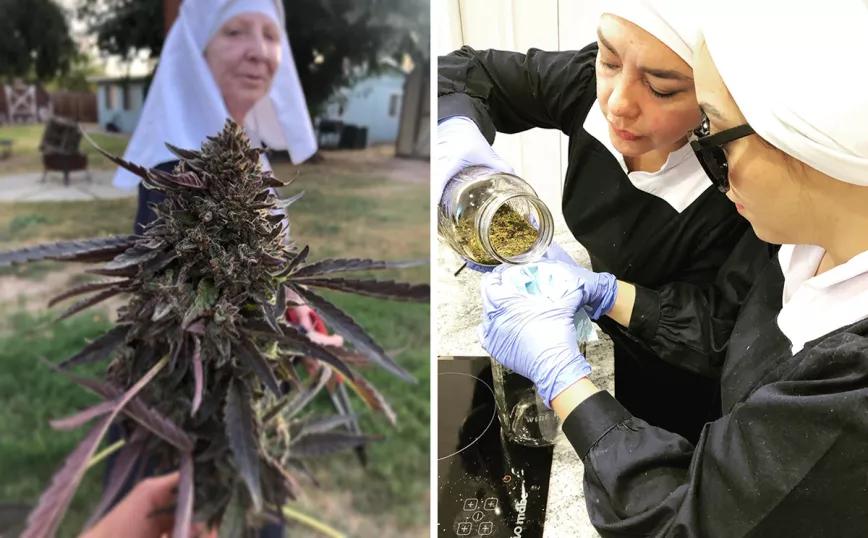 México: un grupo de monjas quiere disputarle el negocio del cannabis a los cárteles