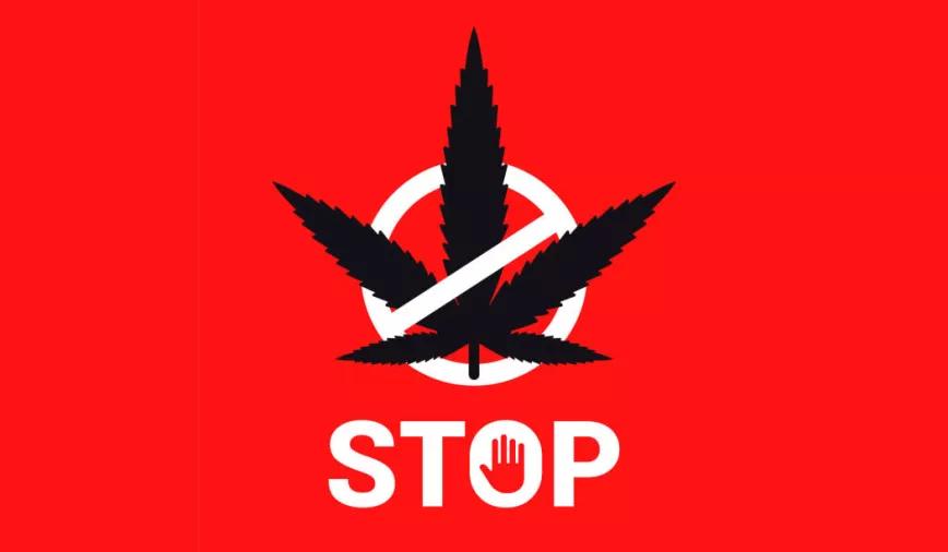 España: la Fiscalía Especial Antidroga quiere lanzar una campaña contra el cannabis