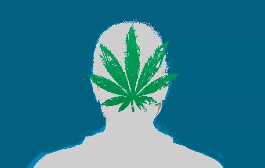 Canadá comprueba que la psicosis no es una excusa para avanzar en la regulación integral del cannabis