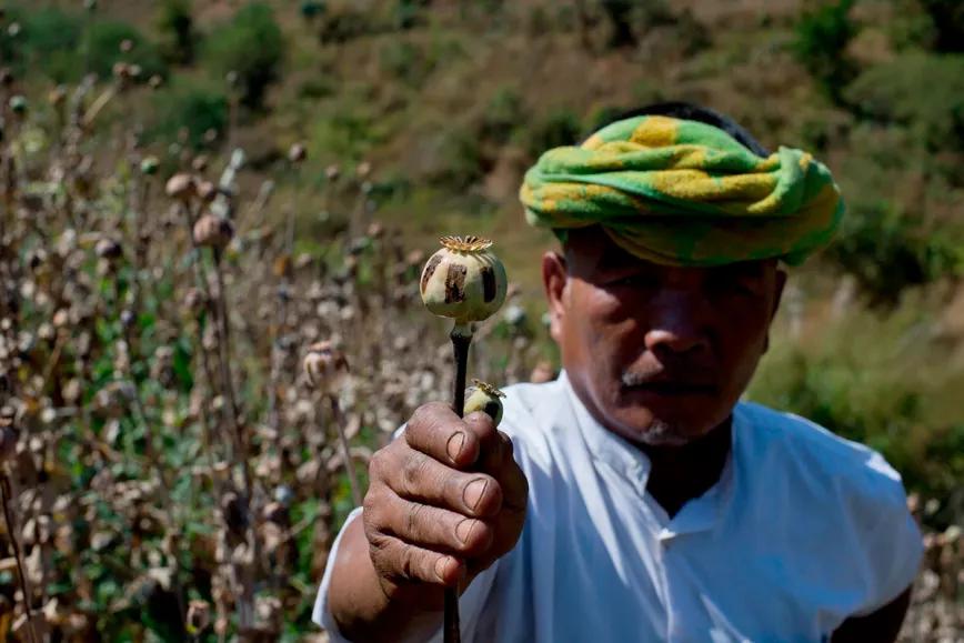 Myanmar supera a Afganistán como principal productor de opio en el mundo