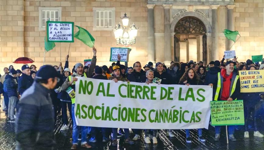Académicos, políticos y organizaciones del mundo le piden al Ayuntamiento de Barcelona que cese su ofensiva contra los clubes de cannabis