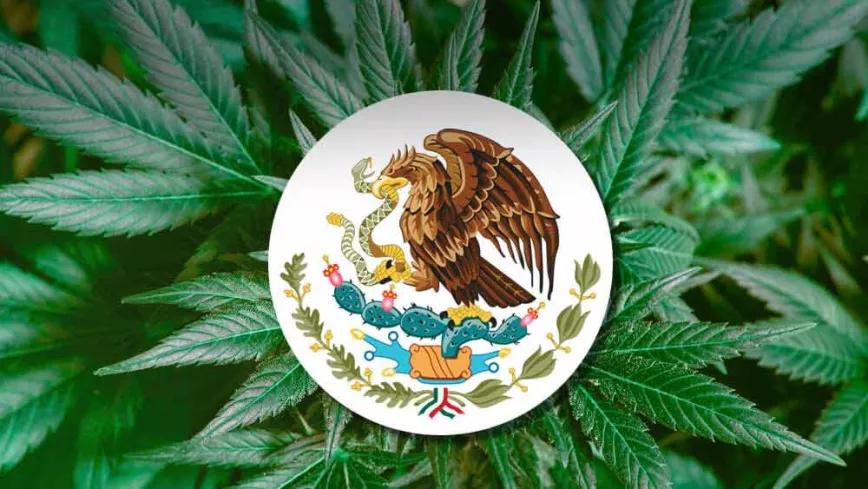 México retomará el debate por la regulación integral del cannabis