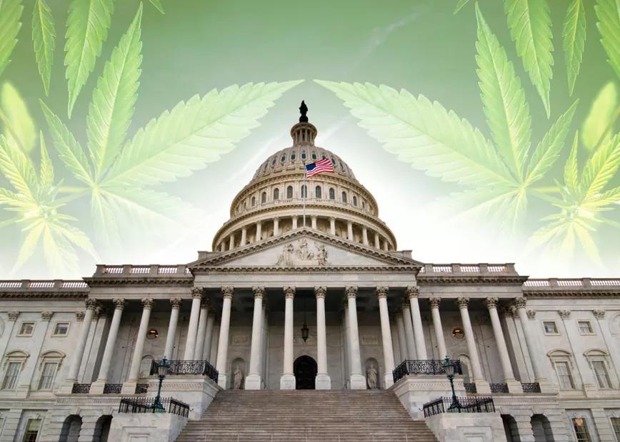 Cuáles son las empresas que hacen lobby para legalizar el cannabis en EEUU