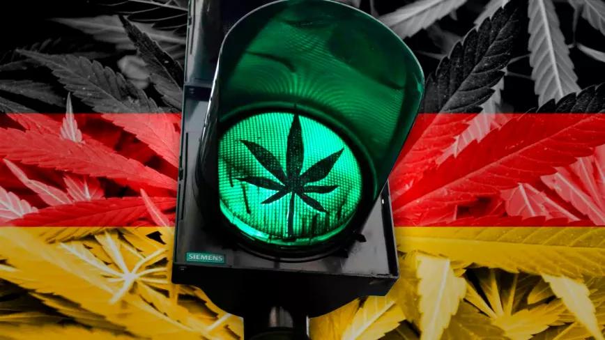 ¡Más derechos! Alemania aprobó la regulación integral del cannabis
